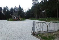 сосновый